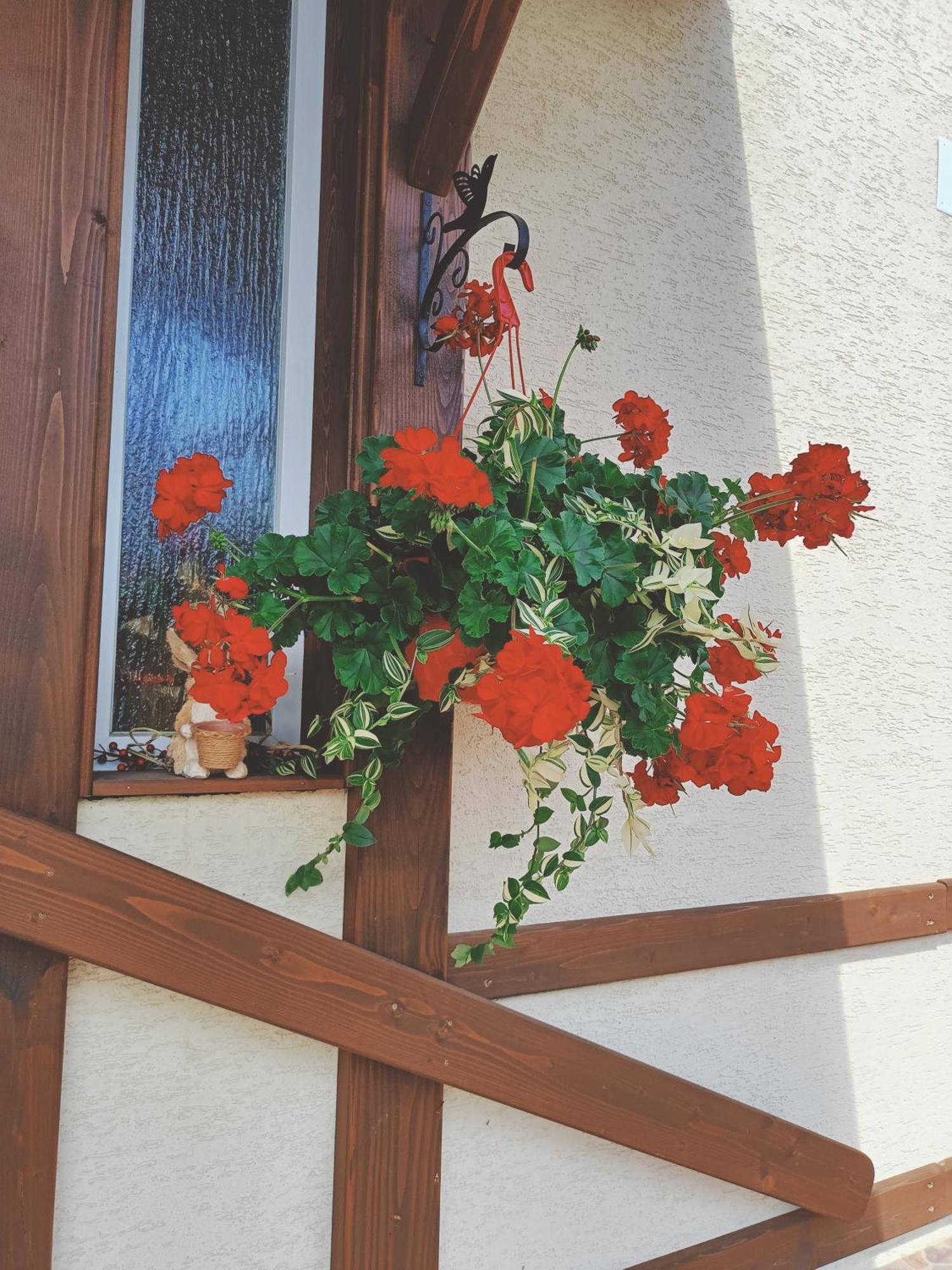 Residence Rooms Bucovina Câmpulung Moldovenesc Εξωτερικό φωτογραφία