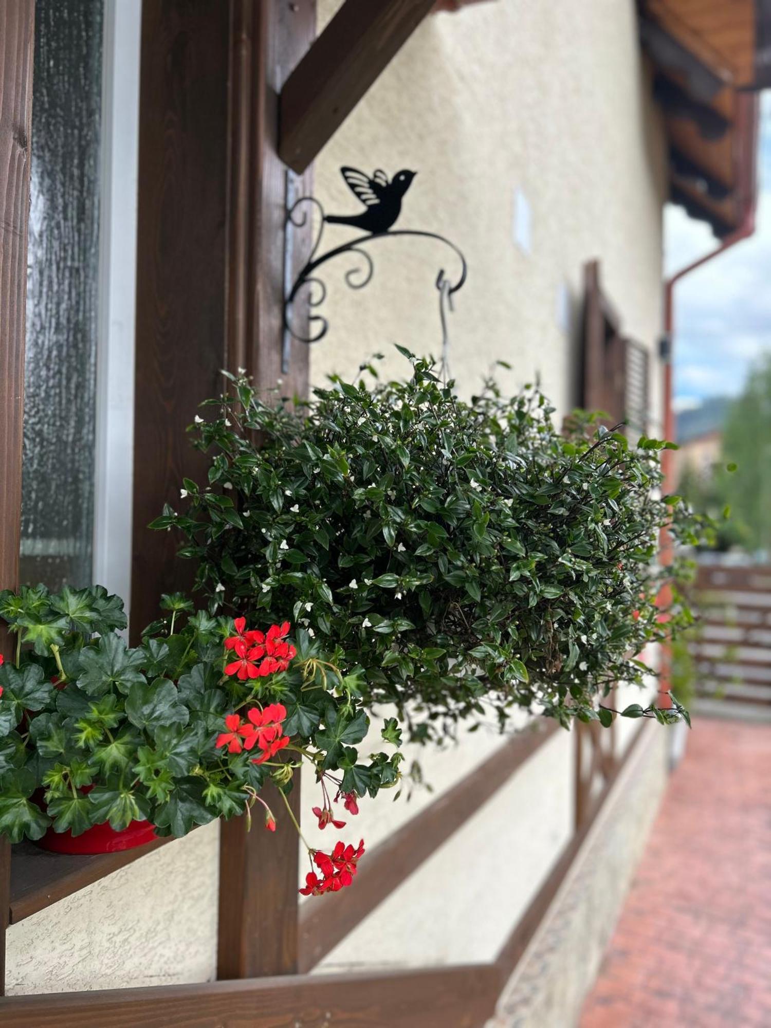 Residence Rooms Bucovina Câmpulung Moldovenesc Εξωτερικό φωτογραφία