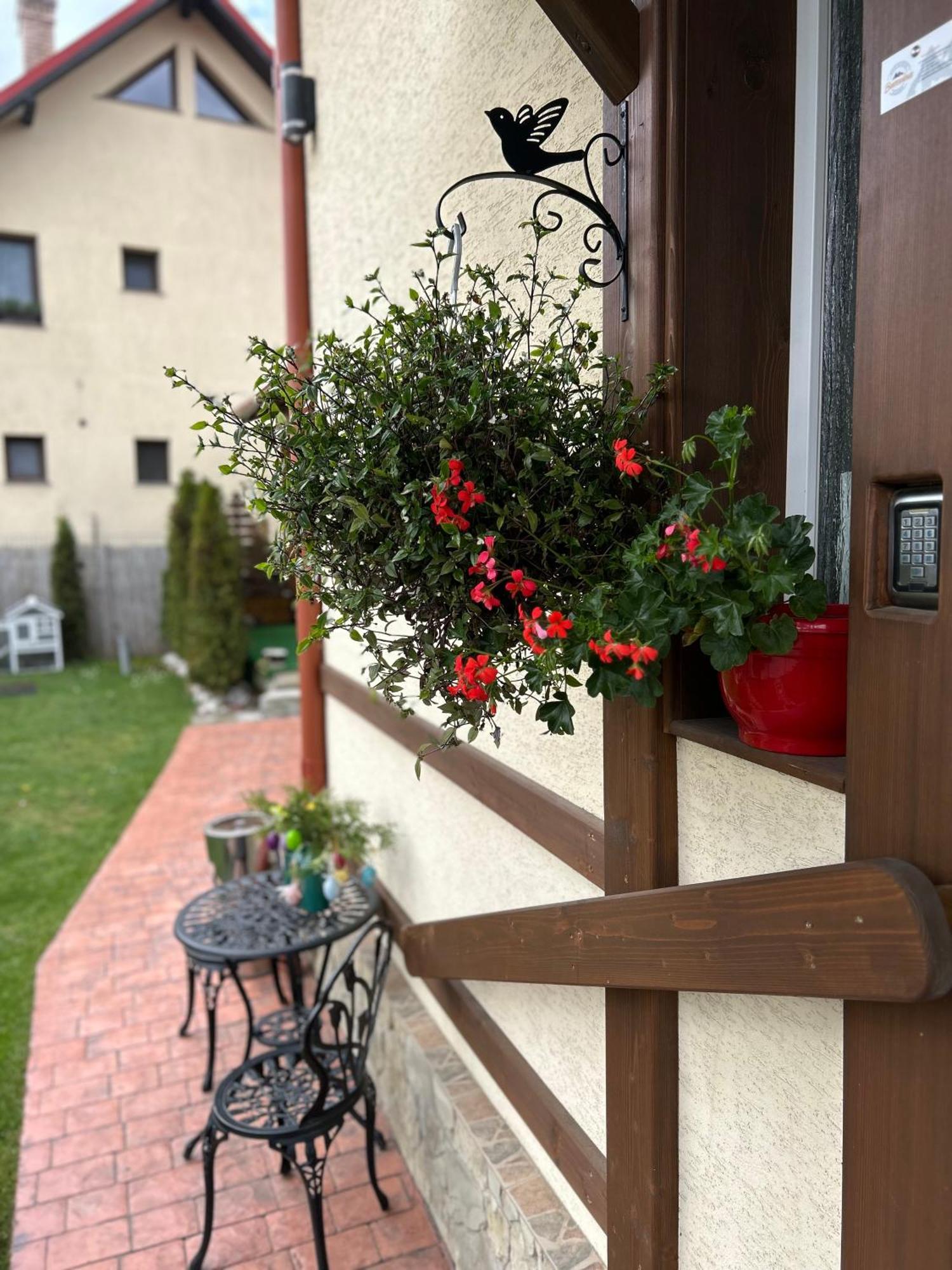 Residence Rooms Bucovina Câmpulung Moldovenesc Εξωτερικό φωτογραφία